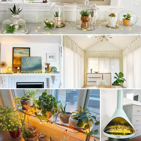 Keeping Your Plants Thriving Through Winter: The Complete Guide to Light, Humidity & Holiday Care