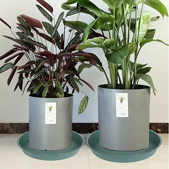 6 Pack of Bird Bath Bowl 8 inch, 8 10 12 14 16 18 20 inch Heavy Duty BirdBath Bowls only, Durable Plastic Round Large Plant Saucer Dish for Garden (8", Green)