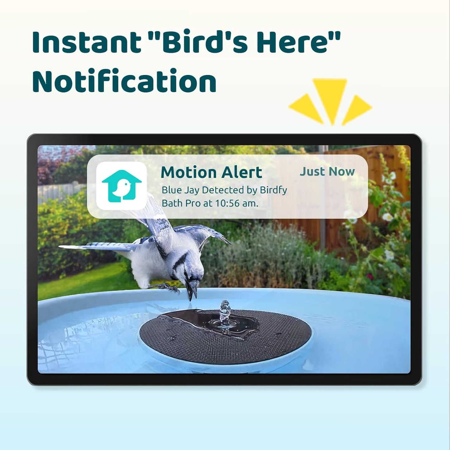 Birdfy Smart Bird Bath with Camera Solar Powered & Fountain & Stand, Dual-Lens Camera for Wildbird Watching, Auto Capture Bird Videos & Motion Detection - AI Lifetime Version