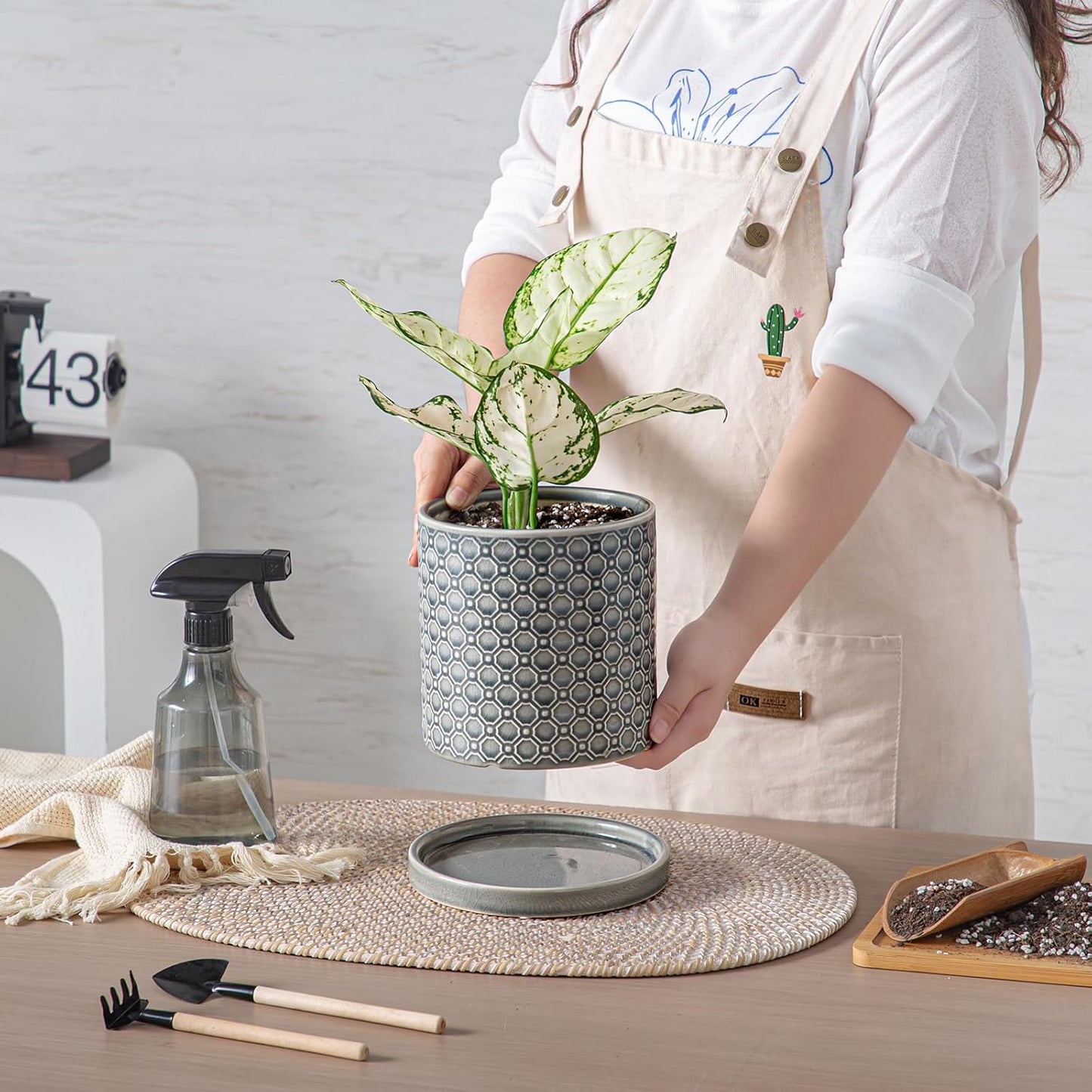 6 Inch Plant Pot: Ceramic Planter with Drainage Hole & Saucer Indoor Outdoor Plants - Cylinder Round Flower Pot for Home Office - Modern Decorative - Small Grey