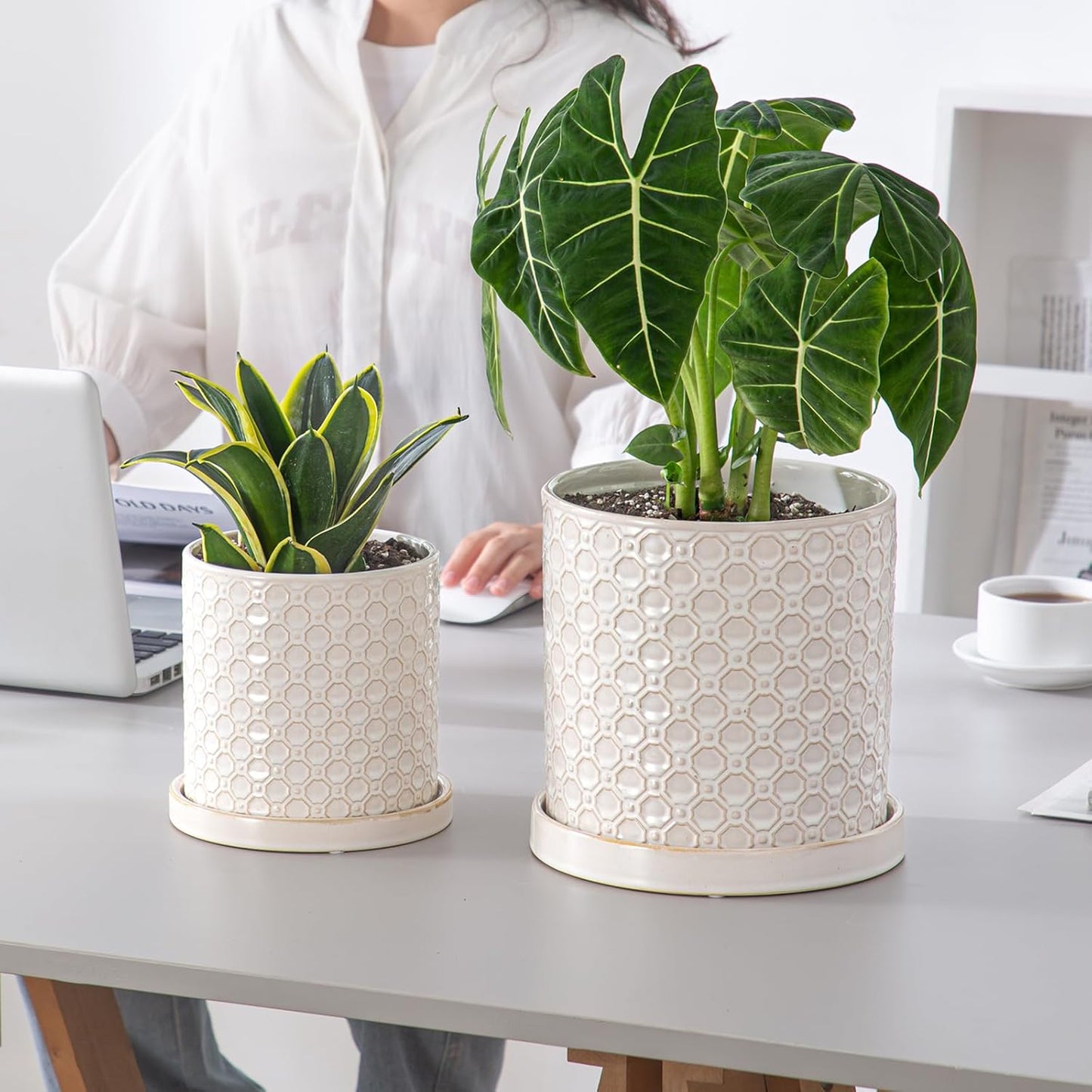 8 Inch Plant Pot: Ceramic Planter with Drainage Hole & Saucer Indoor Outdoor Plants - Cylinder Round Flower Pot for Home Office - Modern Decorative - Medium White