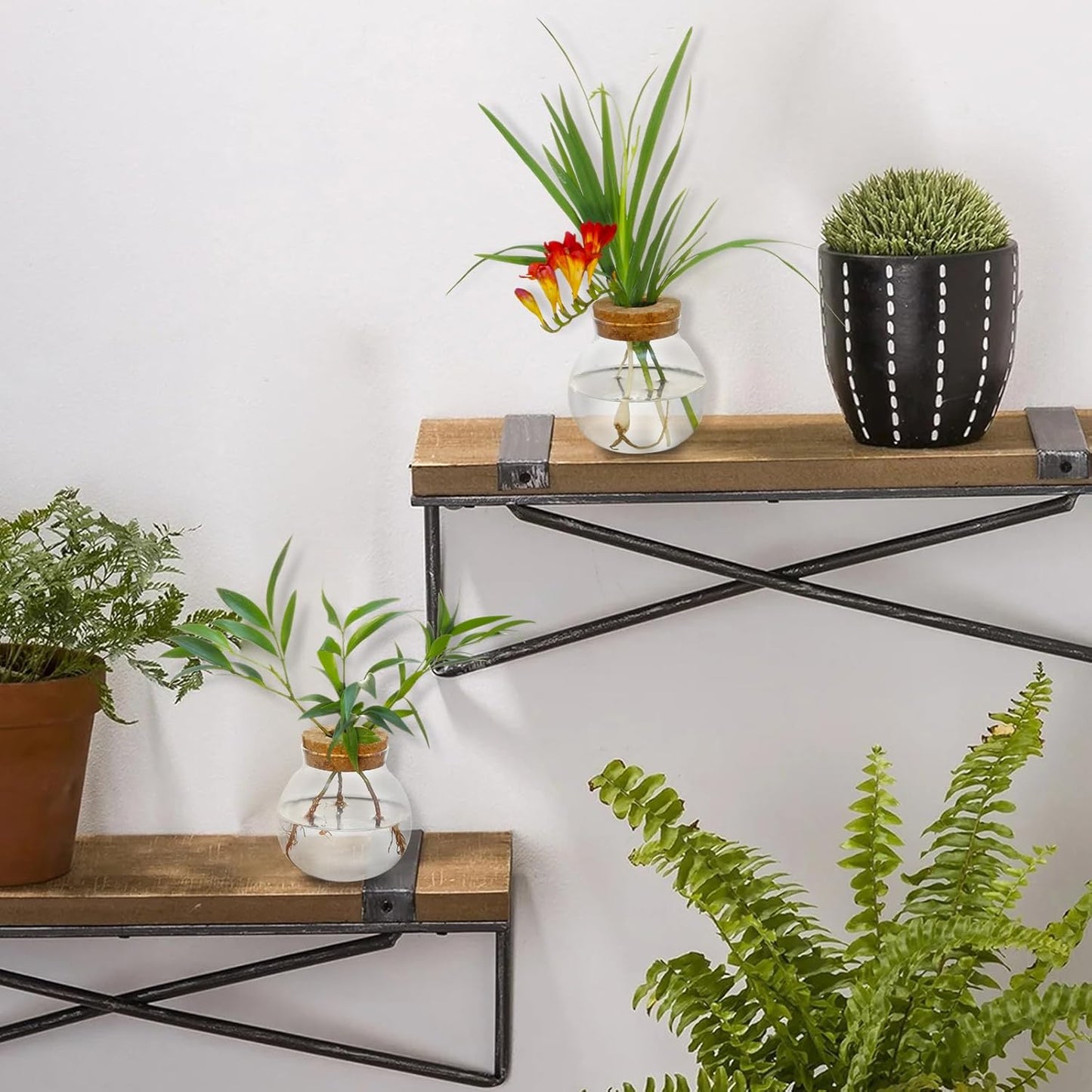 Plant Propagation Station,Hydroponic Terrarium Vase,Desktop Glass Planter Station,for Houses,Garden Decorations,ropagating Hydroponic Plants,Centerpiece Office,Home Garden Decor (9)