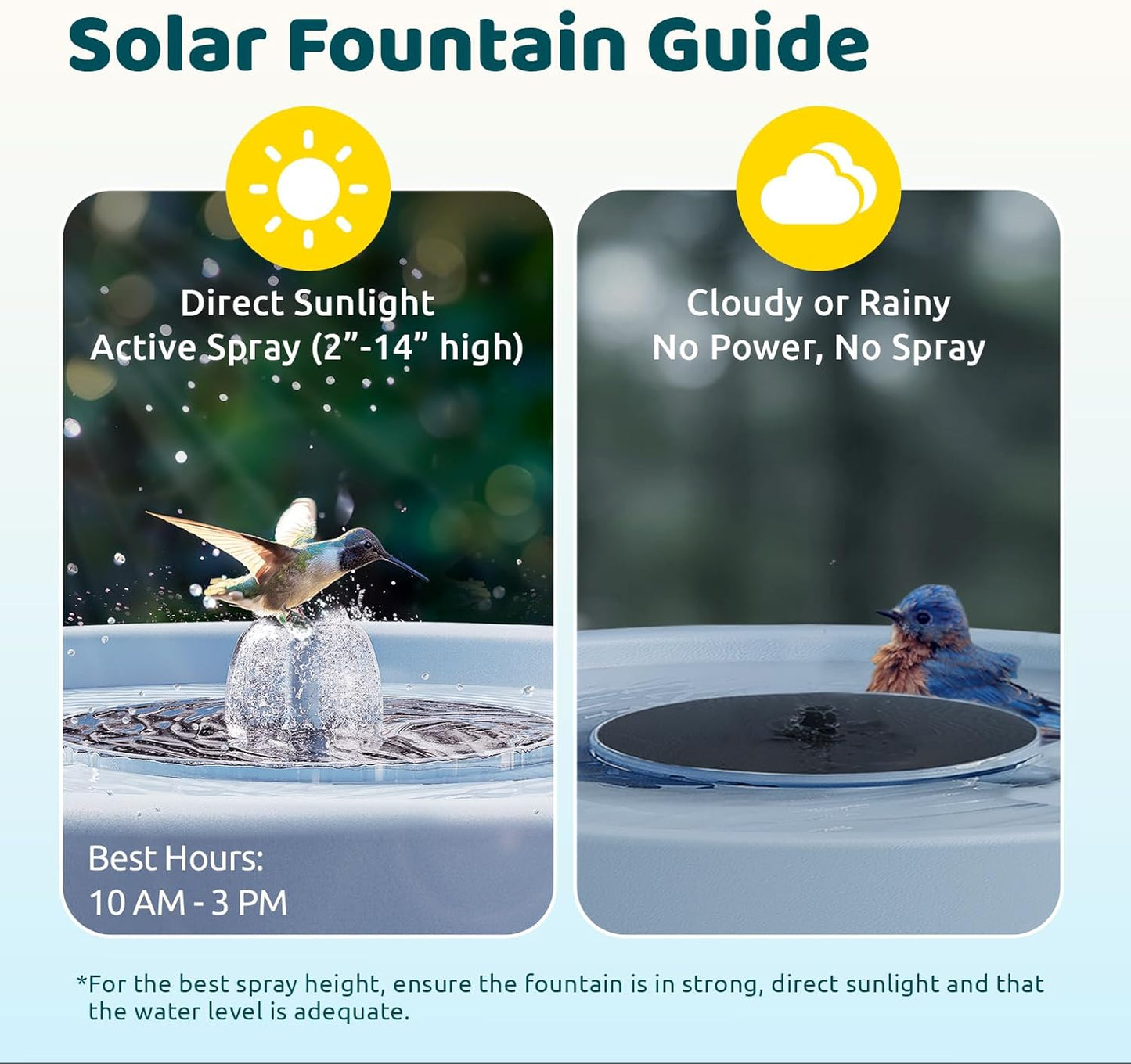 Birdfy Smart Bird Bath with Camera Solar Powered & Fountain & Stand, Dual-Lens Camera for Wildbird Watching, Auto Capture Bird Videos & Motion Detection - AI Lifetime Version
