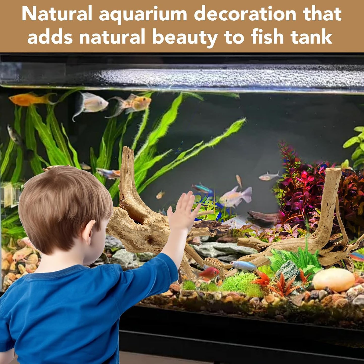 Natural Large Spiderwood Driftwood for Aquarium Decor Rptile Fish Tank Decoration Assort Branch 11-14'' 2 Pcs