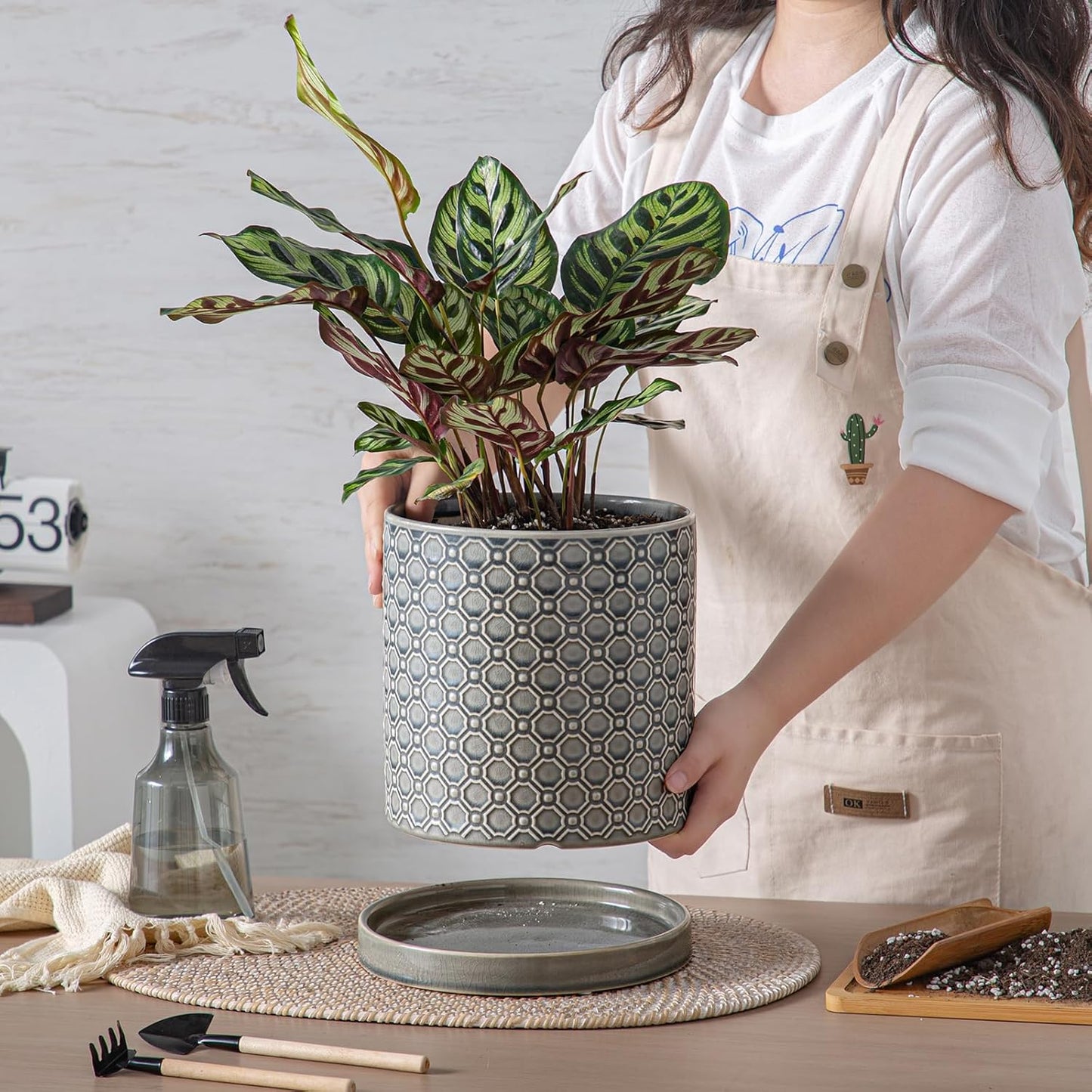 8 Inch Plant Pot: Ceramic Planter with Drainage Hole & Saucer Indoor Outdoor Plants - Cylinder Round Flower Pot for Home Office - Modern Decorative - Medium Grey