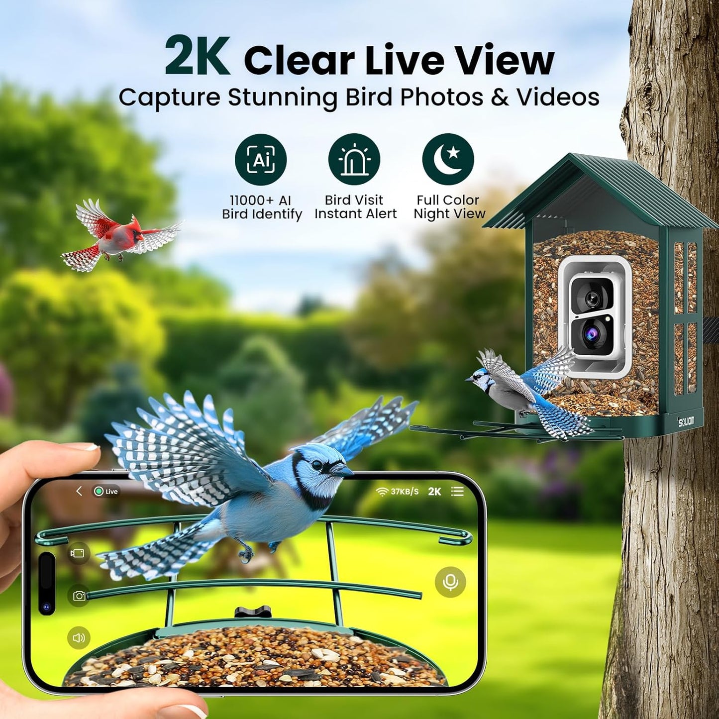 SOLIOM Solar Bird Feeder with Camera for Outdoors - AI Smart Birdhouse, 2K Live View & Instant Alerts, Squirrel Proof - Perfect Bird Watching Gift (Green)