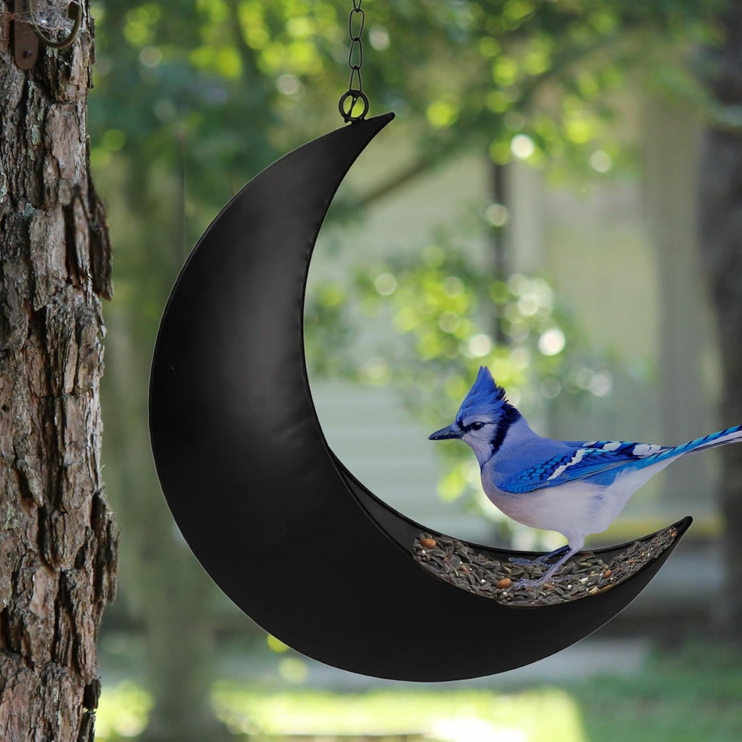 Hanging Moon Bird Feeder – Unique Metal Bird Feeders for Outdoors, Black Rust-Resistant, Drain Holes – Wild Bird Feeder for Bluebirds, Cardinals, Finches, and Backyard Birdwatching (Black)