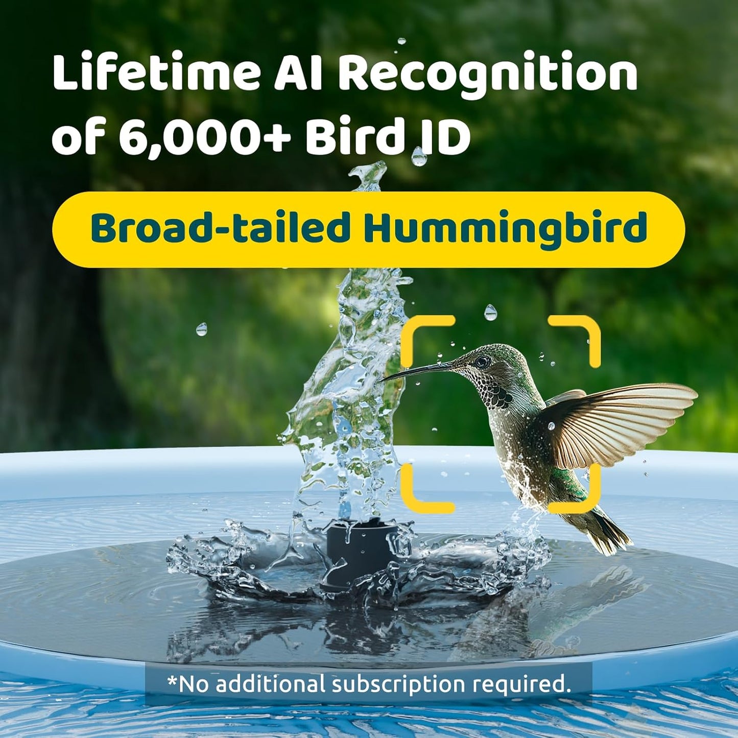 Birdfy Smart Bird Bath with Camera Solar Powered & Fountain, Dual-Lens Camera for Wildbird Watching, Auto Capture Bird Videos & Motion Detection - AI Lifetime Version