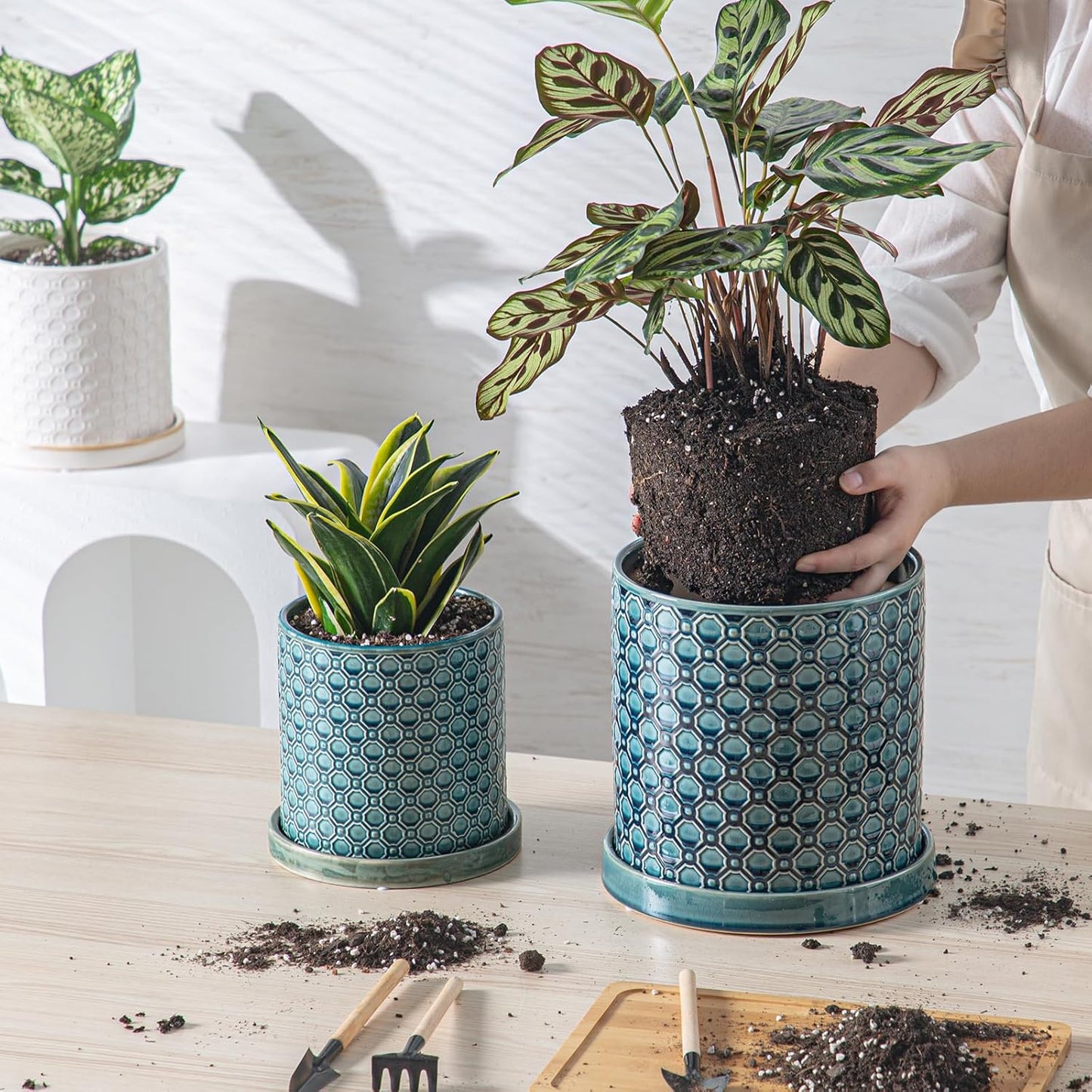 8 Inch Plant Pot: Ceramic Planter with Drainage Hole & Saucer Indoor Outdoor Plants - Cylinder Round Flower Pot for Home Office - Modern Decorative - Medium Blue