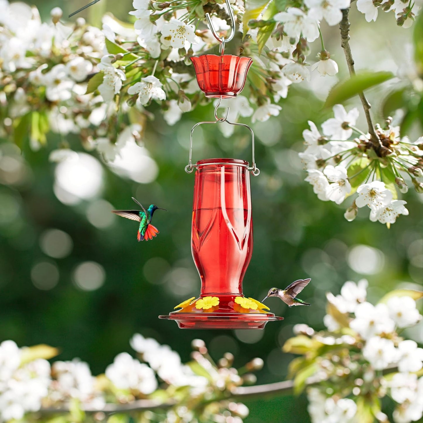 Kingsyard Glass Hummingbird Feeders for Outdoors Hanging, 6 Feeding Ports 16 Ounces Leakproof Bird Nectar Feeder for Garden Porch Fall Decorations, Easy to Refill & Clean, Ant Moat Included, Red